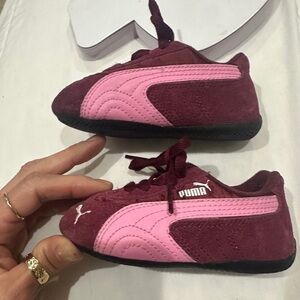 Baby Pumas